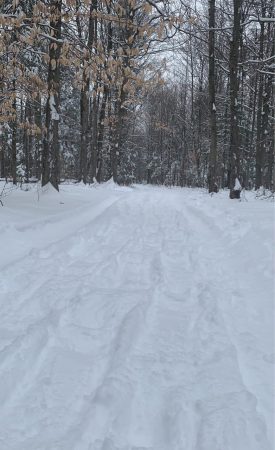 135633313_1944170309054189_4409038458645589645_n